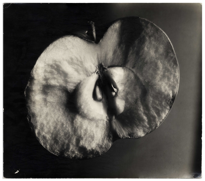 Berenice Abbott 17'' x 14.75'' Photograph of ''Apple, Supersight''
